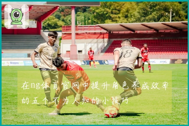在ng体育官网中提升角色养成效率的五个不为人知的小技巧